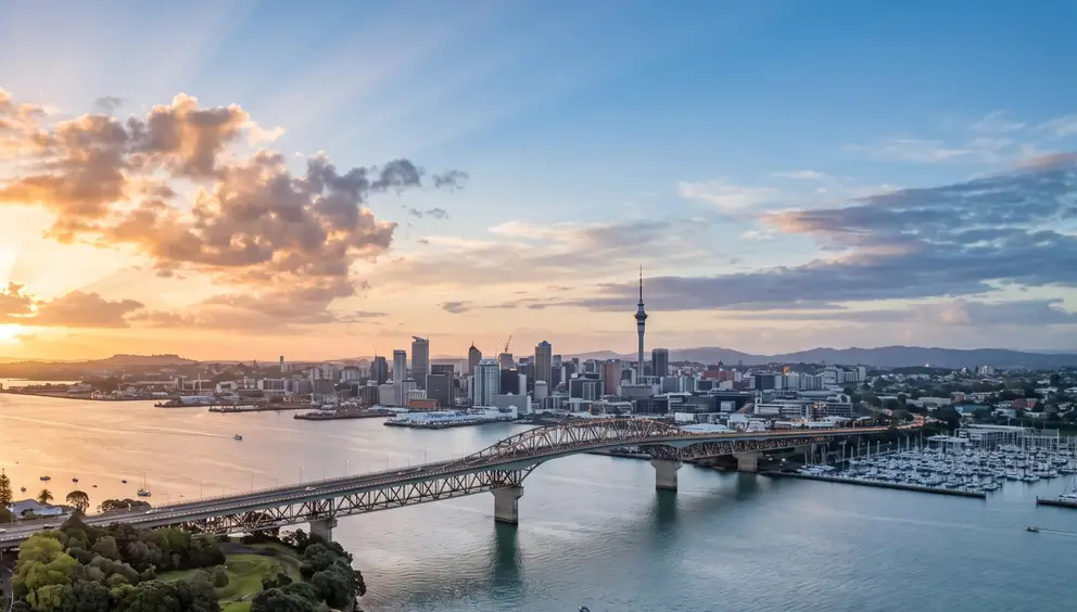 Helping New Zealand Succeed project